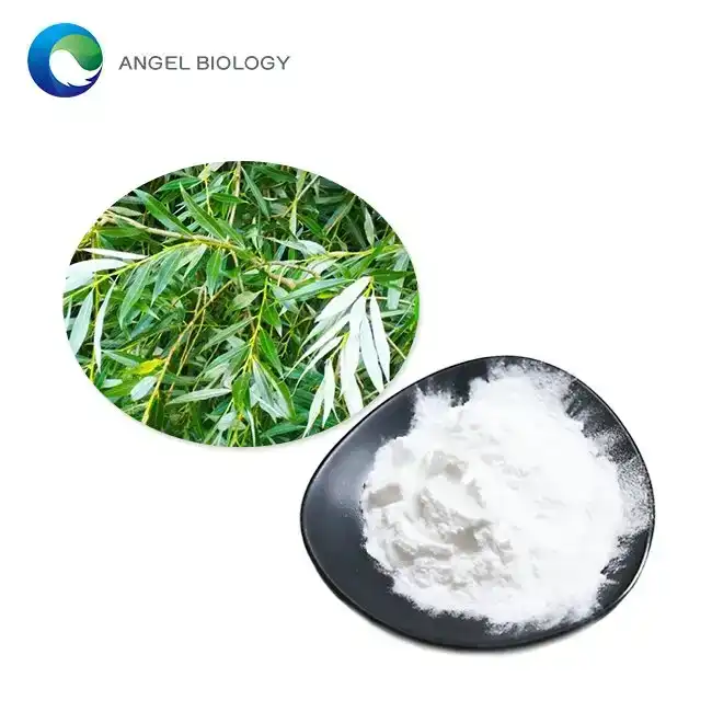 2026 Guide to White Willow Bark Extract Salicin for Natural Pain Relief